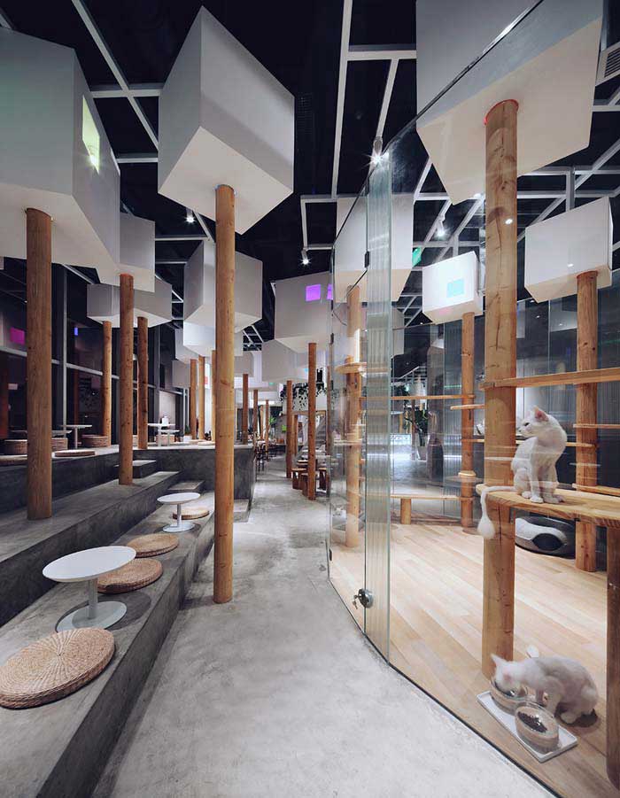 鄭州300m2動物主題咖啡廳設(shè)計(jì)效果圖