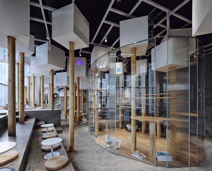 鄭州300m2動物主題咖啡廳設(shè)計(jì)效果圖